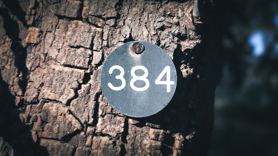 DV188 Slot Dana: Menang Maksimal dengan Permainan yang Menguntungkan